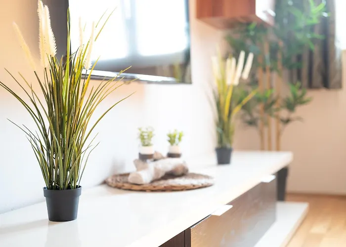 The Orange House 이졸라